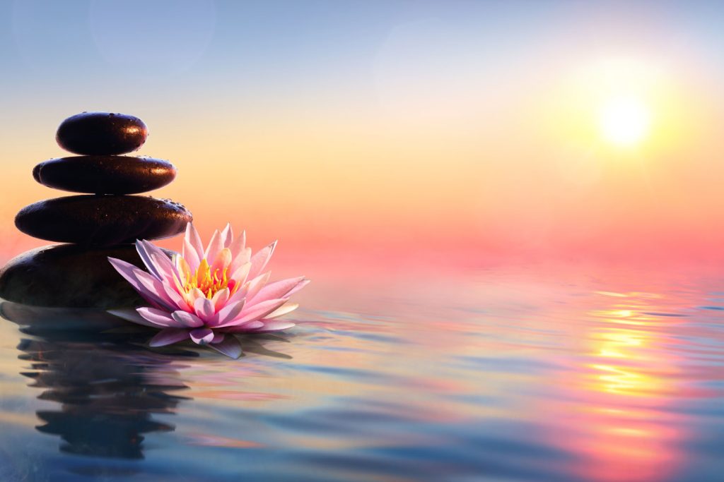 The High Vibe Way 1024x683